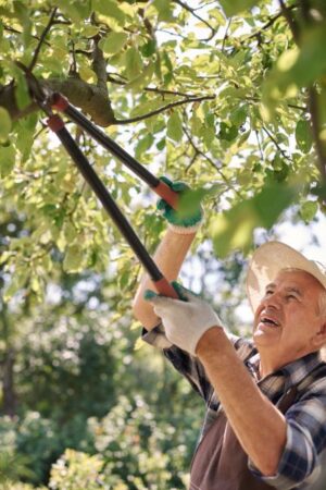 Senior tree surgeon working in the field