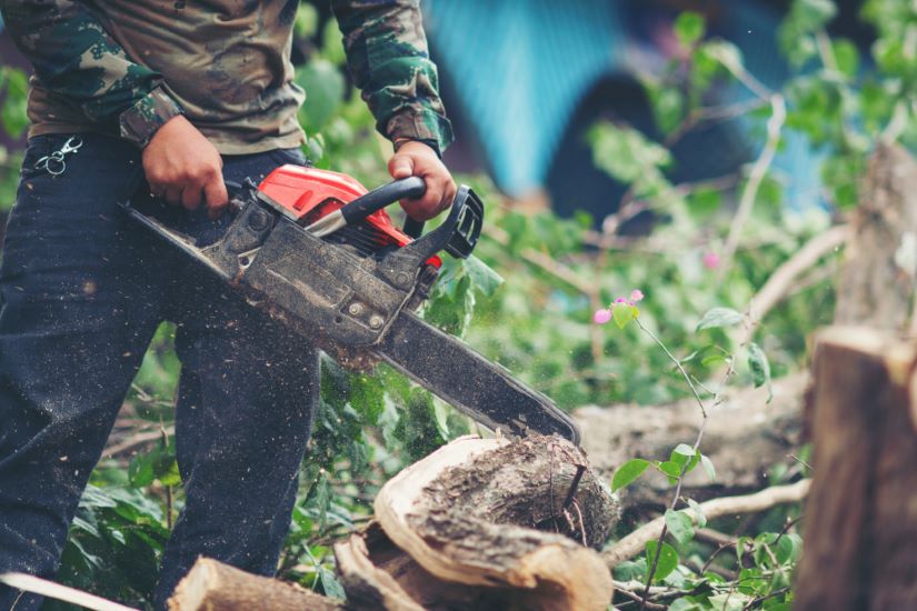 Surgeon man cutting trees using an electrical chainsaw