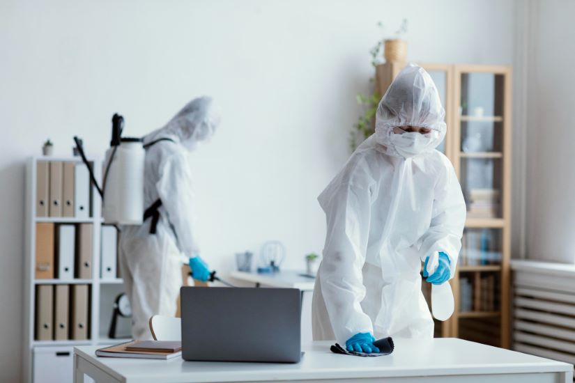 SEO services for Pest Control companies in Dunstable